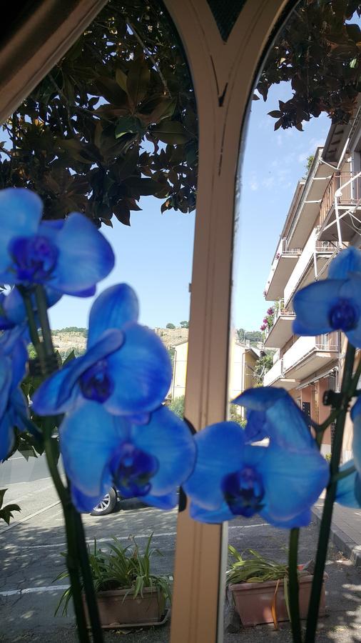 Hotel Ristorante Umbria Ορβιέτο Εξωτερικό φωτογραφία